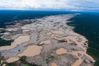 En bild tagen förra året som visar ödelagd regnskog i Amazonas, skövlad av illegala guldgrävare.