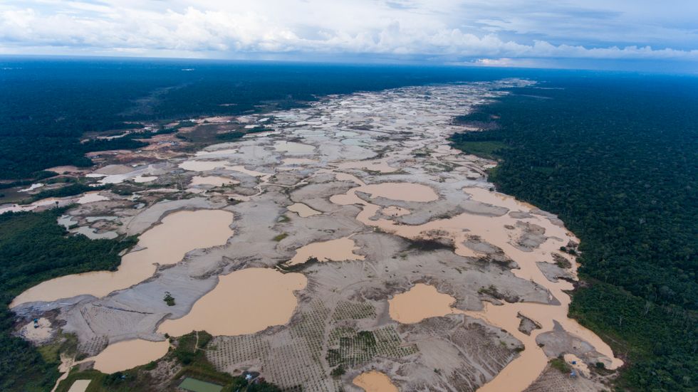 En bild tagen förra året som visar ödelagd regnskog i Amazonas, skövlad av illegala guldgrävare.