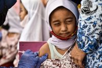Indonesien blir det första landet i världen som godkänner amerikanska vaccinet Novavax. 