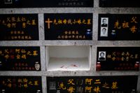 Begravningsnisch i Hong Kong där markbristen gör att myndigheterna stoppat allt byggande av nya begravningsplatser. Andelen kremerade har ökat från 38 procent 1975 till 90 procent idag. Nästan 22 000 döda väntar på att få en nisch i ett offentligt kolumbarium.