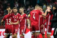 Ungerska spelarna jublar efter slutsignalen mot Polen. 
