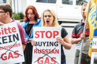 Demonstranter uppmanar till sanktioner – men kritiker ifrågasätter om isolering av Ryssland är rätt väg att gå. 