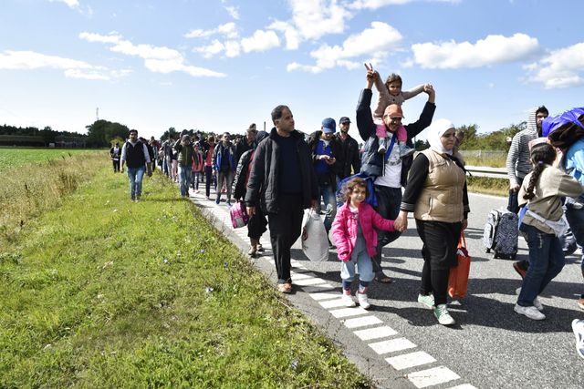En grupp flyktingar, som tidigare i veckan anlände till danska Lolland, på väg mot Sverige.