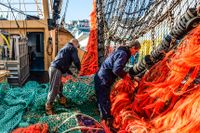 Fiskare i Brixham. Fiskefrågan var en av drivkrafterna bakom brexit.