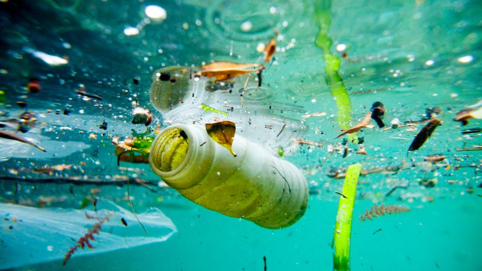 Det skräp, företrädesvis plast och mikroplast, som samlats i det så kallade stora stillahavssopområdet uppgår i dag till uppskattningsvis hundra miljoner ton.