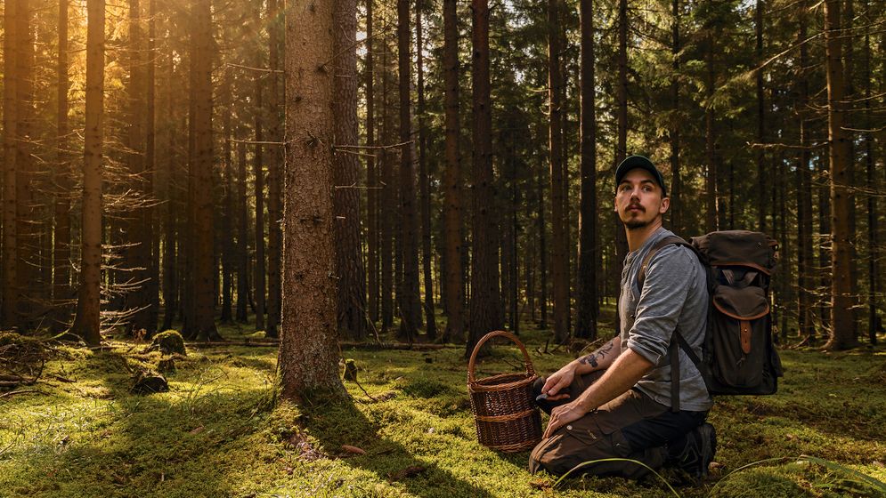 Niki Sjölund jobbar med att få ut människor i skog och mark, och väl där upptäcka allt gott som växer naturligt i Sverige.