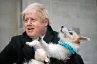 Boris Johnson tog med sig hunden Dilyn när han röstade på torsdagsmorgonen.