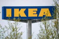 Ikea är ett av flera storföretag som vägrar reodvisa sin påverkan på skogsskövlingen, enligt en ny rapport. 