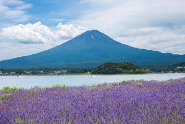 Fuji påminner om att naturen finns bortom Tokyos neonljus och hets.