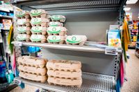 I flera butiker har ägg varit en bristvara de senaste månaderna – och i påsk kommer det vara ont om svenska ägg.