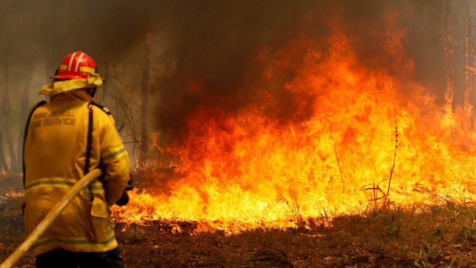 Brandmän bekämpar skogsbränder i närheten av Old Bar, omkring 25 mil norr om New South Wales delstatshuvudstad Sydney.
