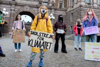 Miljöaktivisten Greta Thunberg vid en manifestation på Myntorget i Stockholm tidigare i oktober. I december ska hon för en dag vara chefredaktör för Dagens Nyheter.