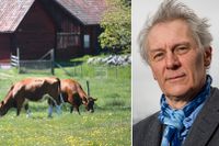 Debattören Gunnar Rundgren har under decennier arbetat med ekologiskt jordbruk, och var med och grundade Krav 1985. Han är ledamot av Kungliga skogs- och lantbruksakademien.