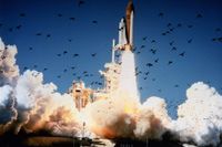 28 januari 1986 lyfte Challenger. Explosionen chockade en hel värld.