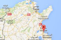 Attack mot hotell i Tunisien – minst 37 döda