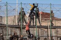 Migranter försöker klättra över stängslet till den spanska exklaven Melilla. Minst 18 dog i trängseln.