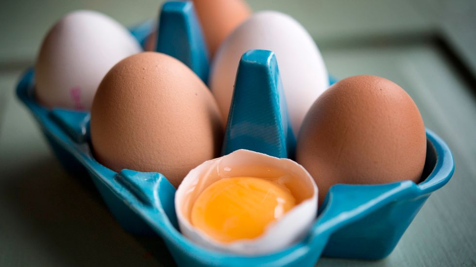 Ägg, och då framför allt äggulan, innehåller mycket kolesterol. Arkivbild.