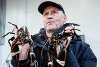 Patrick Norén ropade in de första humrarna på fiskeauktionen i Göteborg med ett pris på 44 000 kronor kilot.