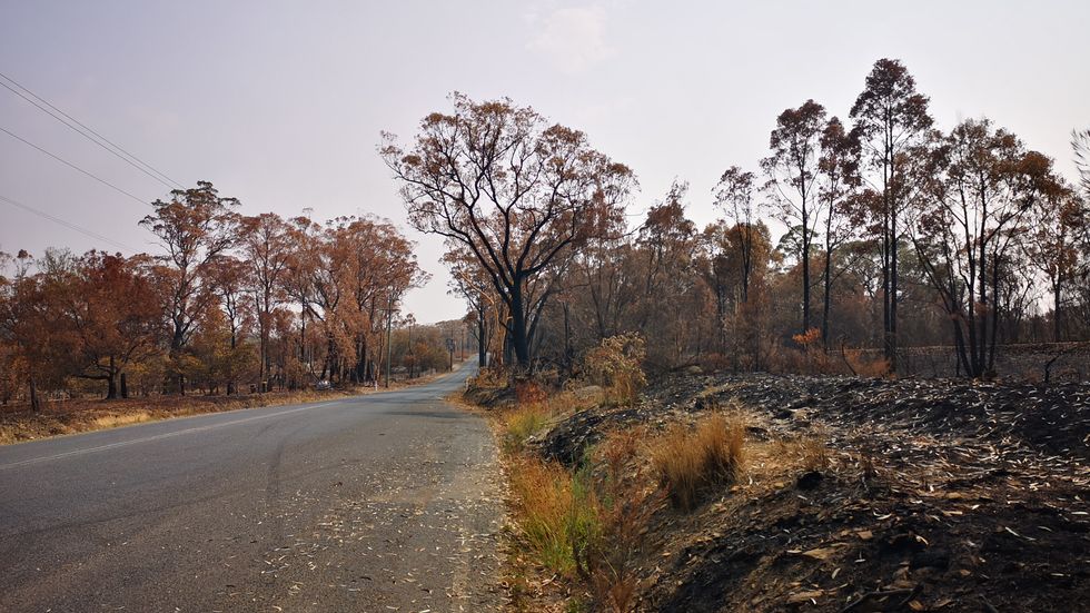 Eldhärjat landskap utefter vägen genom australiska Balmoral.