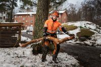 Arboristen Johan Strinnlund har inte varit med om något liknande tidigare vintrar.