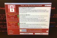 Den skadliga koden krypterar datorns filer och begär en lösensumma för att låsa upp systemet.