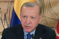 Erdogans rådgivare: Det kan ta månader