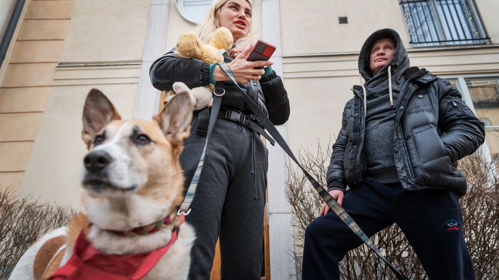 Julia Osovaja och Filip Voenov med sina hundar Zeus och Bella har flytt från Charkiv i Ukraina.