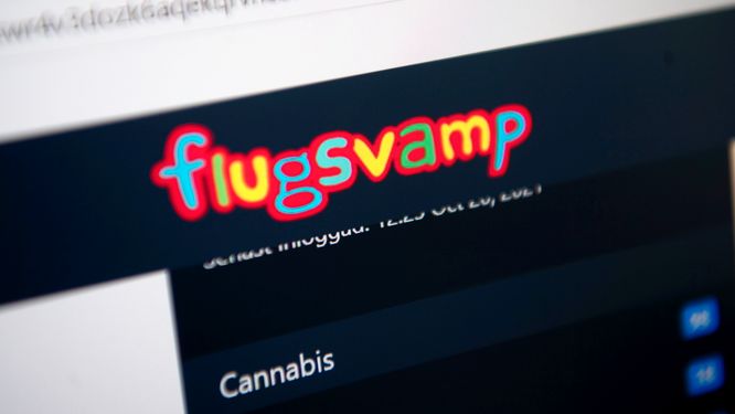 30-åringen har anklagats för att vara mannen bakom den svenska drogmarknadsplatsen Flugsvamp 2.0. Arkivbild.