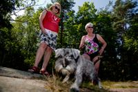 Vänsterpartiet i Göteborg delar ut flygblad på stranden vid Surtesjön. Elisabeth Nicklasson och hunden Molly träffar Yvonne Palm, som är andre vice ordförande i Angered stadsdelsnämnd.