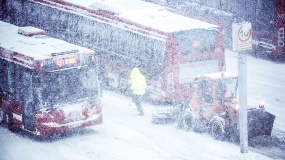 Onsdagens kraftiga snöoväder slog hårt mot Stockholmsområdet.