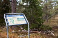 Ingen mer stenbrytning i Ojnareskogen på norra Gotland. Arkivbild.