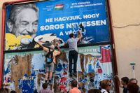 En affisch rivs ner i Budapest. Budskapet från Ungerns regering är: ”99 procent är emot illegal invandring. Låt inte Soros få sista skrattet.”