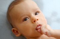 Ett fyra månader gammalt spädbarn – har det en medfödd språkförmåga? Arkivbild.