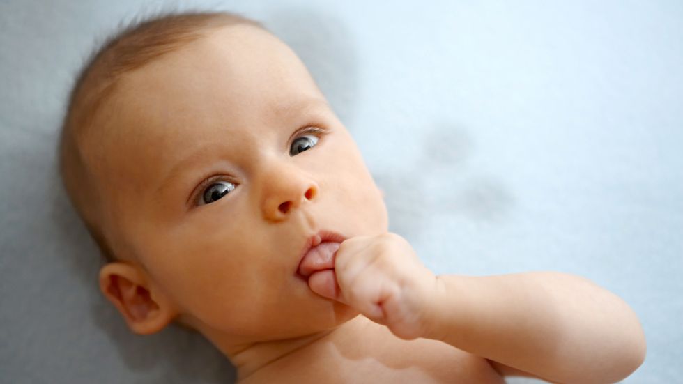 Ett fyra månader gammalt spädbarn – har det en medfödd språkförmåga? Arkivbild.