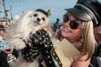 Några av besökarna på årets Fantasy Fest – Cheryl Lindamood och Cheyenne som ställde upp i en tävling om vilket husdjur som är mest likt sin ägare.