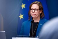 Migrationsminister Maria Malmer Stenergard (M) har rätt ambition, men fel förslag.