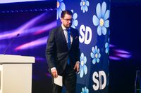 Jimmie Åkesson talar under Sverigedemokraternas valkonferens i helgen.