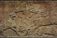 Assurbanipal på lejonjakt. Relief i Ninive, Irak.