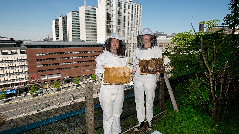 Karolina Lisslö och Josefina Oddberg jobbar för Bee urban som odlar bin inne i stan.