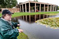 På Skogskyrkogården finns bland annat  vattensalamandrar. ”Hela dammen är ett ekosystem i sig”, säger biogeovetaren Dan Andersson.