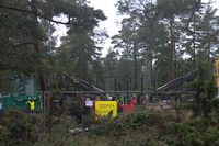 På en bild från Greenpeace stoppar några av deras medlemmar skogsröjning på norra Gotland.