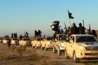 En grupp IS-soldater med vapen och flaggor i en bilkonvoj från syriska al-Raqqa på en väg som leder till Irak. 
