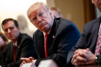 USA:s president Donald Trump vid ett möte med amerikanska företagsledare inom stål- och aluminiumindustrin.