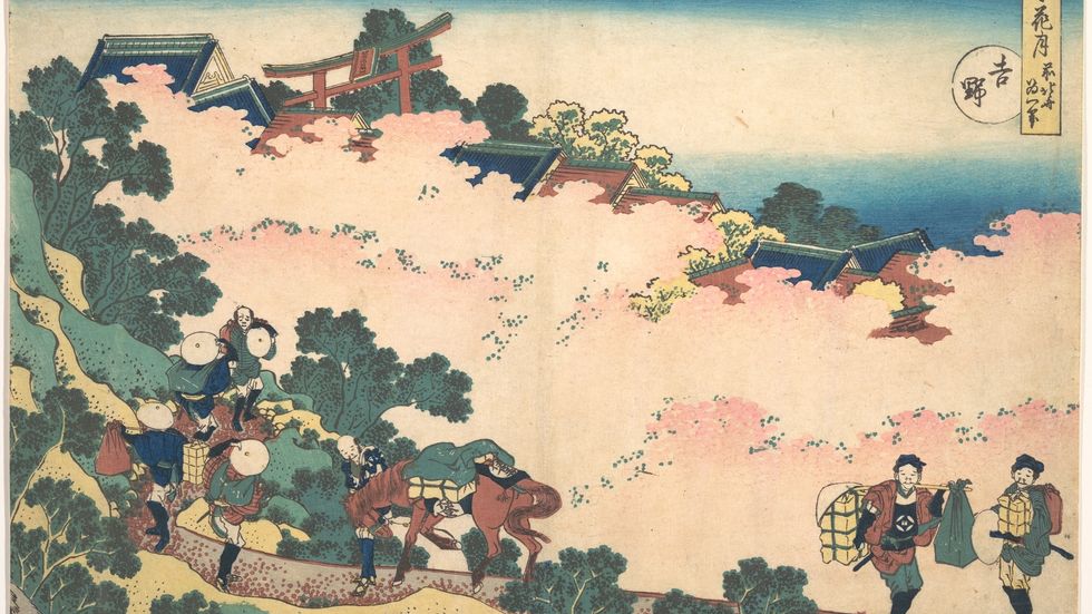 Körbärsblom i Yoshino, målning av Hokusai från 1833.