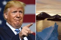 Wall Street Journal har rapporterat att USA:s president Donald Trump uttryckt en önskan om att köpa den arktiska ön.