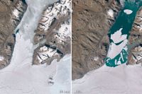 Satellitbilder från sommaren 2020 visar hur isen i Arktis smälter och bryts upp.
