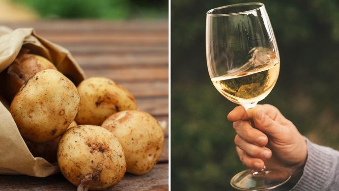 Läckert vin till färsk potatis: ”Njutning”