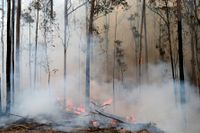 Delar av östra Australien ser fram emot regn som spås komma senare i veckan. Här en brand i Bodalla som räddningstjänsten har under kontroll. Bild från i söndags.