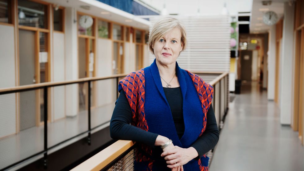 Ann-Cathrine Jungar, docent och lektor i statsvetenskap vid Södertörns högskola, vill se en oberoende genomgång av SD:s historia.