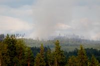 Efter förra sommarens omfattande skogsbränder har MSB vidtagit åtgärder. Arkivbild.